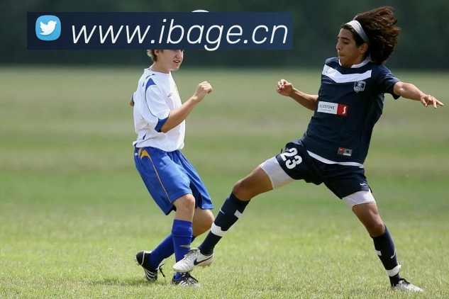 开云官方在线入口APP 高清赛事图